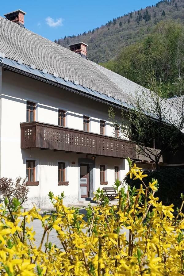 Pr'Mruzo Apartmaji Bohinj Exterior photo